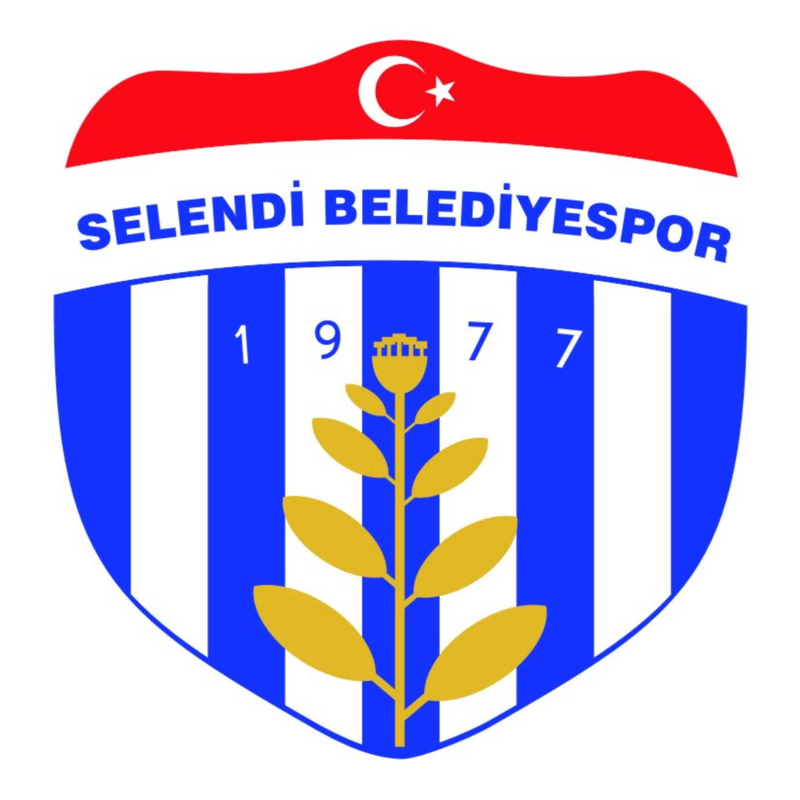 grafikaram's profile picture