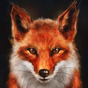 DFcheee 2's profile picture