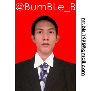 BumBLelBl's profile picture