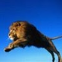 PICIPAPA's profile picture