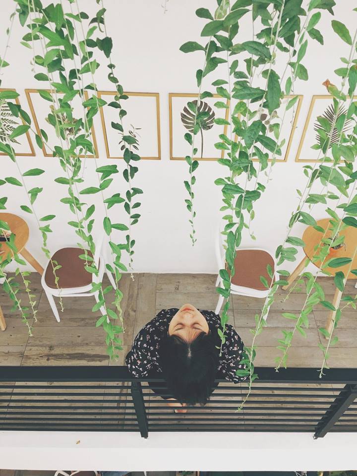 Nguyenlabay's profile picture