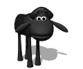 BlackSheeps's profile picture