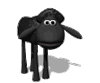 BlackSheeps