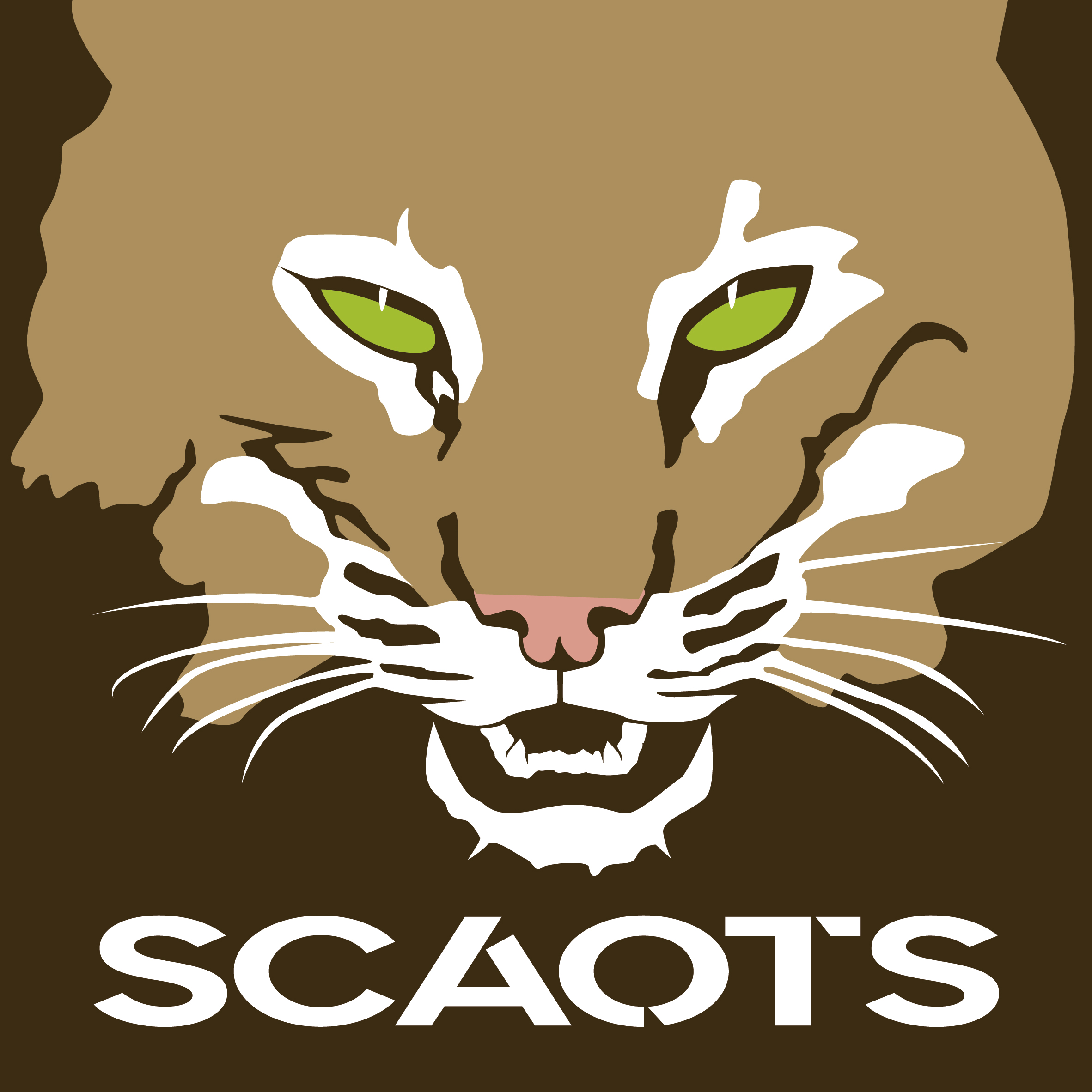 Scaots's profile picture
