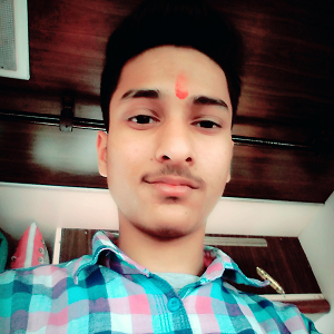 Ritik kumar's profile picture