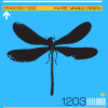 dragonfly1203's profile picture