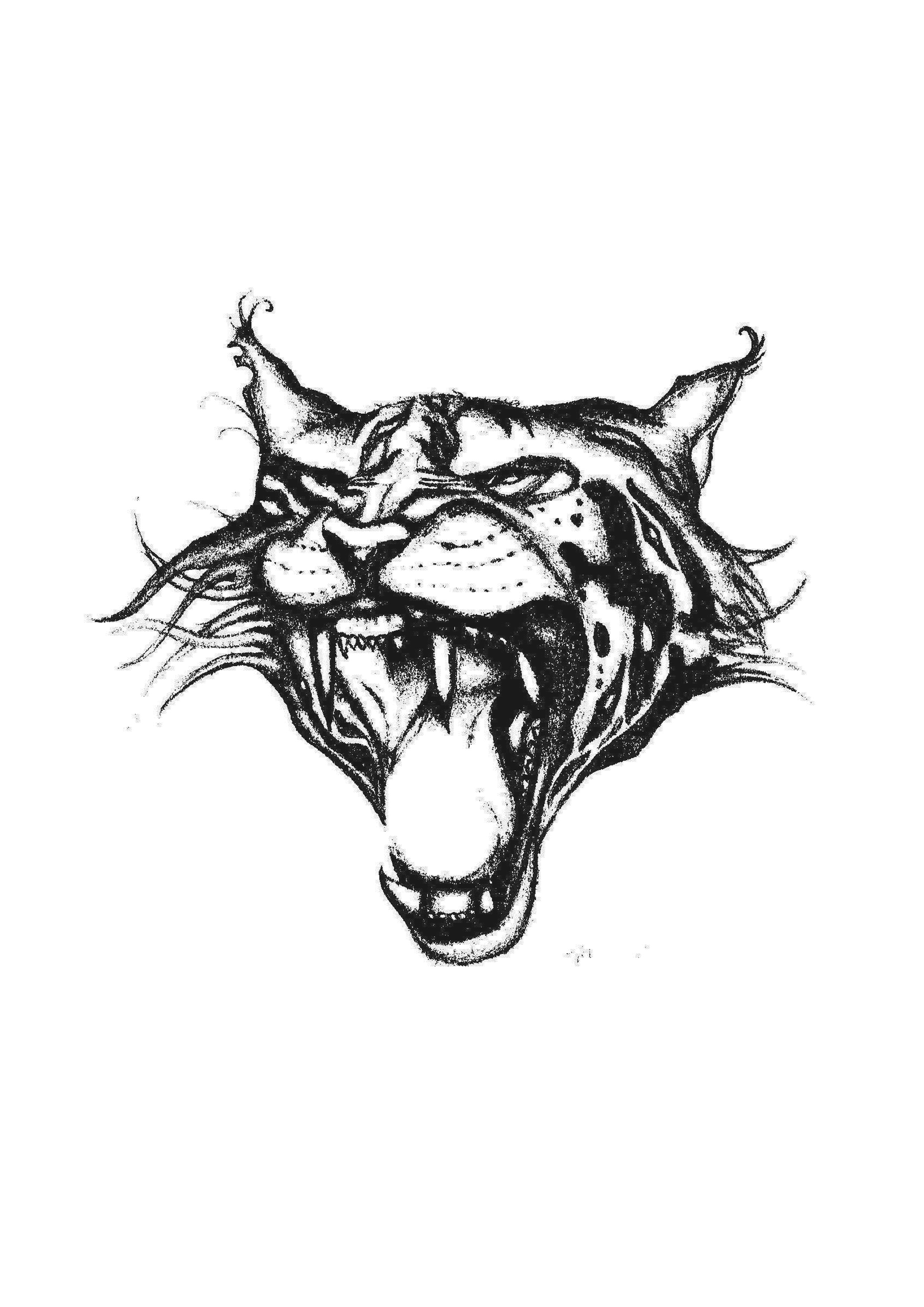 Georgiau's profile picture