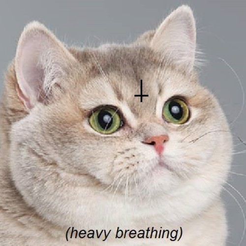 thecomplex's profile picture