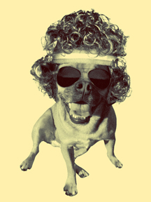 DMacaluso's profile picture