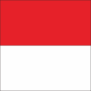 Rahmadika's profile picture
