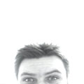 Dreamleaf's profile picture