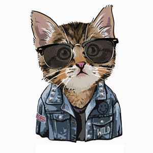oasegrafis's profile picture