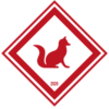 BramPijpers