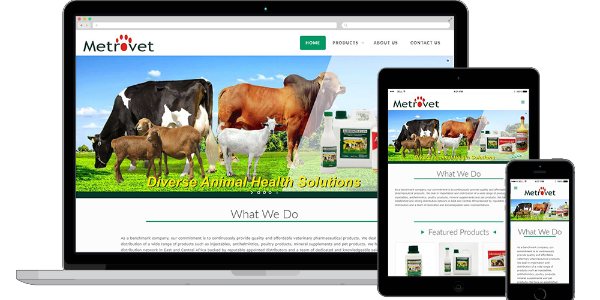 Landing Page Design (Coded)