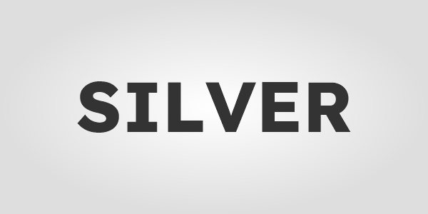 Silver Custom Logo