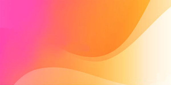 Custom Logo