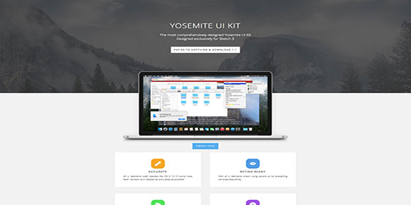 Wordpress Design