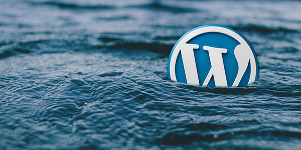 Coded Wordpress Web Design