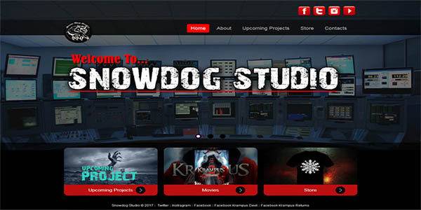 Wordpress Design
