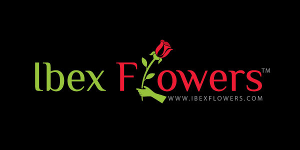 Custom Logo