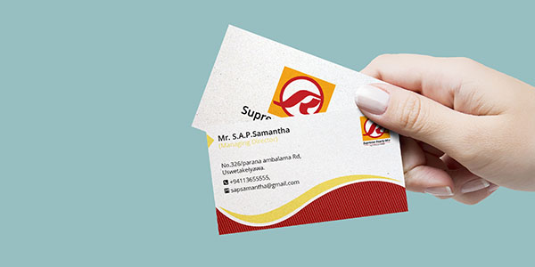 Create Business Card and Logo