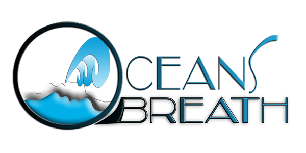 Custom Logo