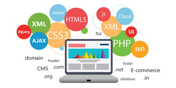 Coded Web Design (2+ pages)
