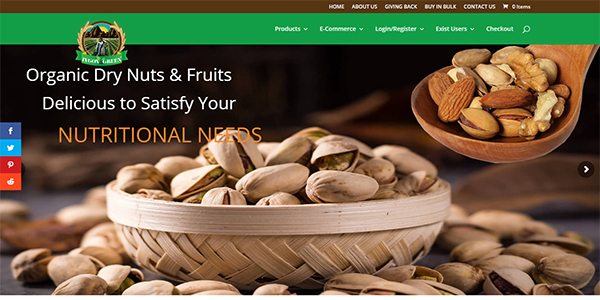 Wordpress Design