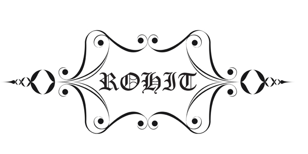 Custom Logo
