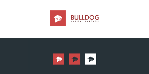 Custom Logo