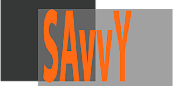 Custom Logo