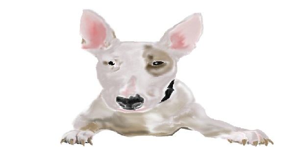 Graphic Design Tweaks