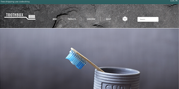 Coded Web Design (2+ pages)