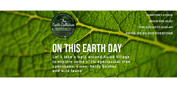 Custom Graphic Design