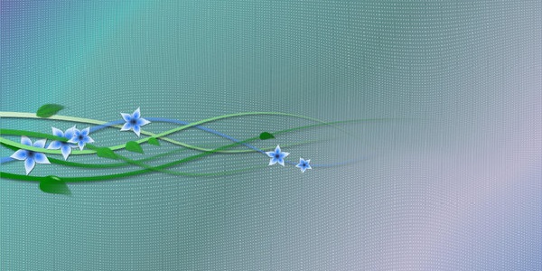 Custom Graphic Design