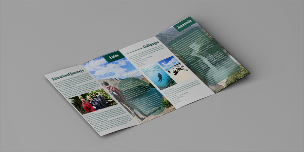 Brochure Design