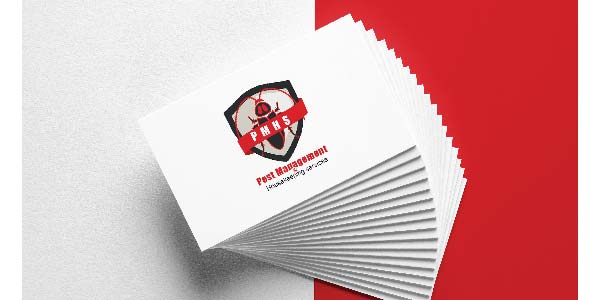 Create Business Card and Logo