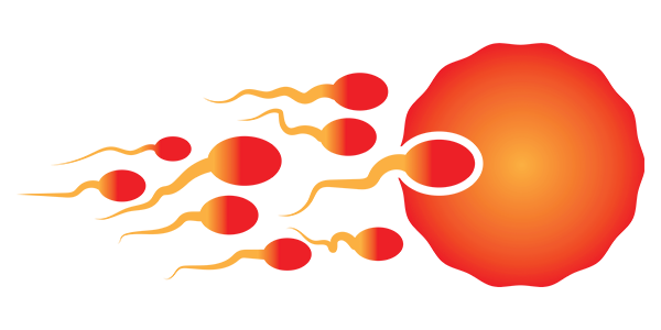 Custom Logo