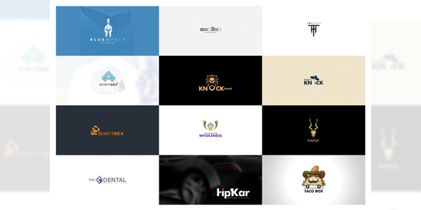 Custom Logo