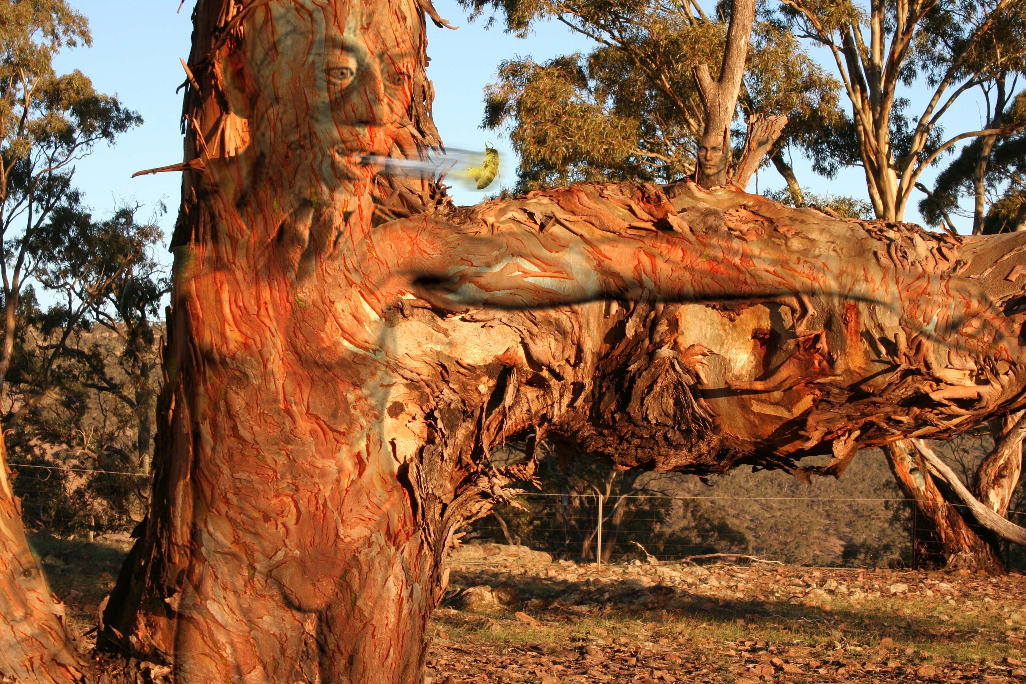 Photoshop Design by potters for DesignCrowd (Community Contests) | Design #9008743