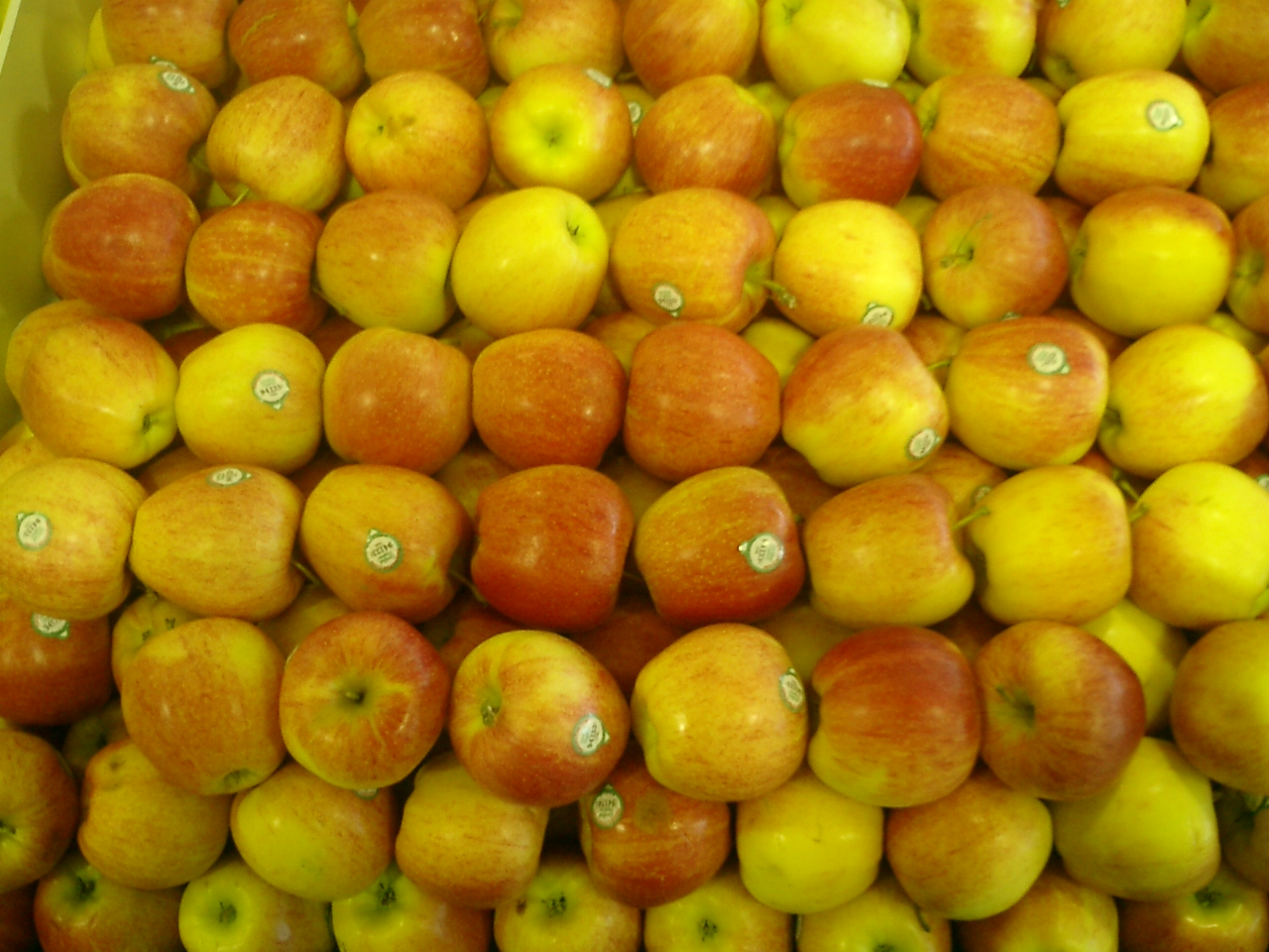 Photography by vipez for DesignCrowd (Community Contests) | Design #9132466