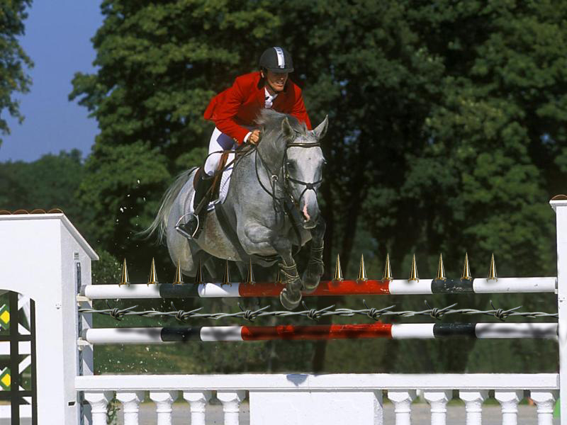 Photoshop-Design von hopchet für DesignCrowd (Community Contests) | Design #9110284