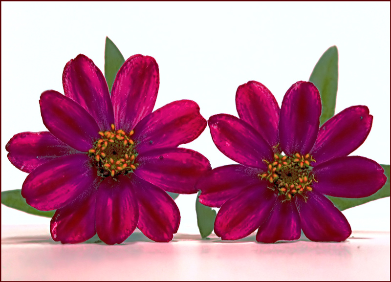 Fotografie von lilmart für DesignCrowd (Community Contests) | Design #9110024