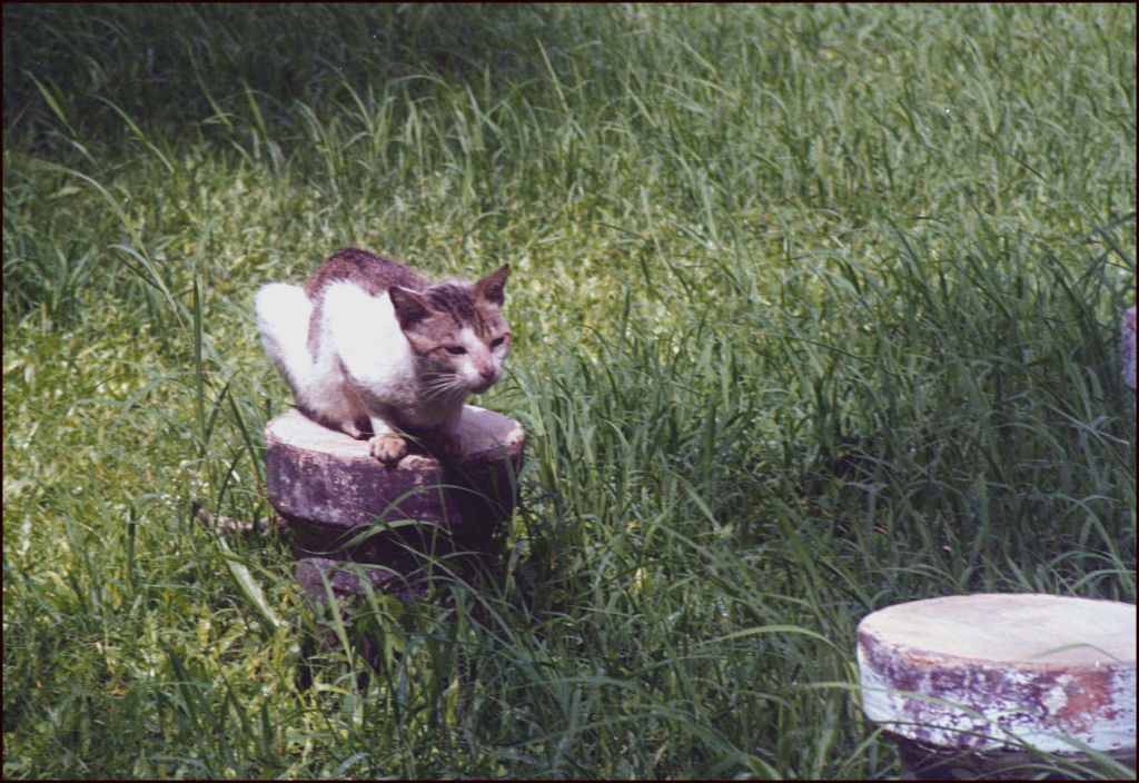 Photography by eye2eye for DesignCrowd (Community Contests) | Design #9087089