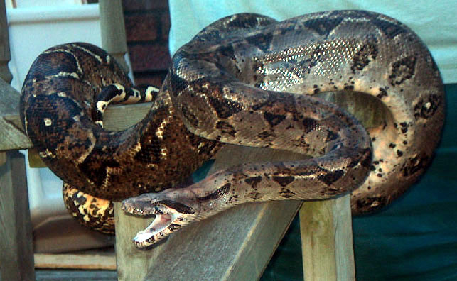 Fotografía por Salster para DesignCrowd (Community Contests) | Diseño #9087033