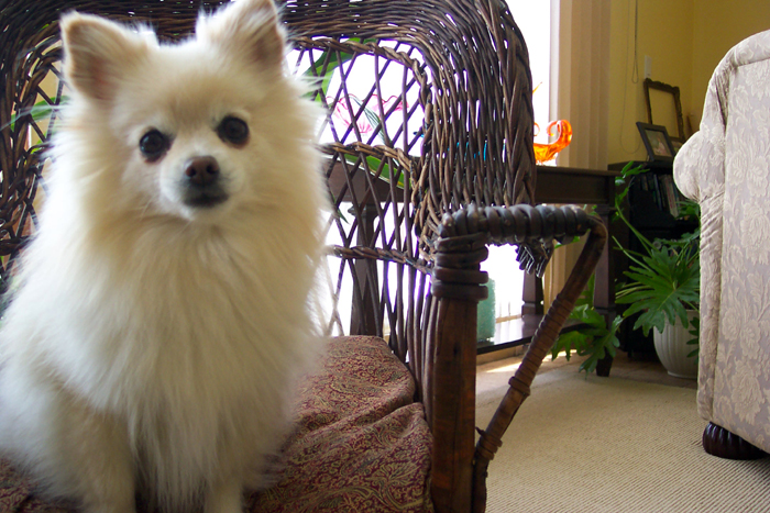 Photography by Mirado for DesignCrowd (Community Contests) | Design #9087115