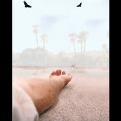 Photoshop Design by godzillatemple