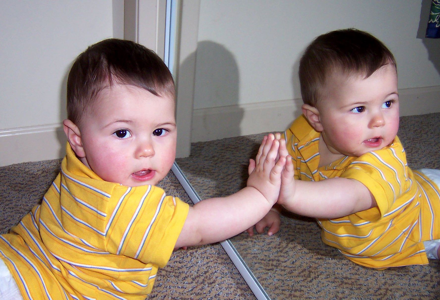 Fotografie von Cornstarr für DesignCrowd (Community Contests) | Design #9110073