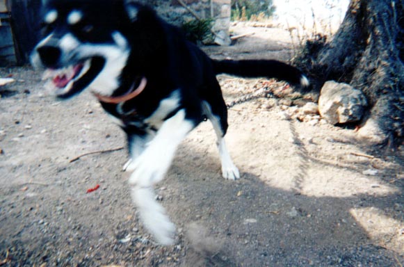 Fotografía por ennoia para DesignCrowd (Community Contests) | Diseño #9087318