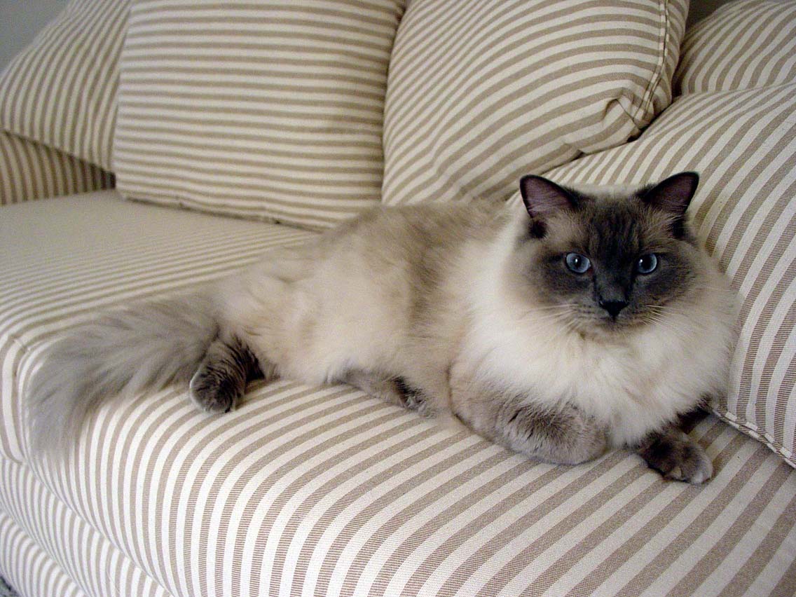 Photographie par FRWalters pour DesignCrowd (Community Contests) | Design #9087138